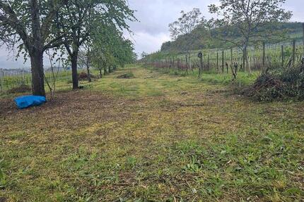 Gartengrundstück Freizeitgrundstück ZU VERMIETEN - Emmendingen