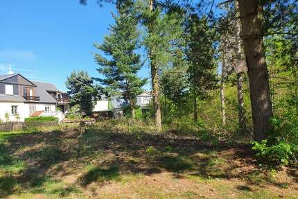 Grundstück in Pöhlau 49.000,00 € 1250 m²