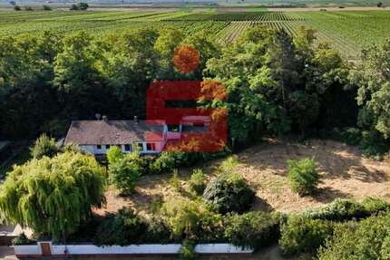 Haus zum Kaufen in Gerolsheim 650.000,00 € 111.53 m²