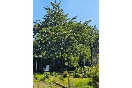 Schrebergarten - 4.500,00&nbsp;EUR Kaltmiete, ca.&nbsp; 0,00&nbsp;m&sup2; in Lüneburg (PLZ: 21337) Ebensberg