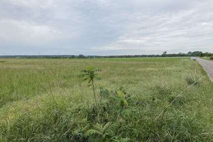 Grundstück zu verkaufen in Siestedt 99.000,00 € 10000 m²