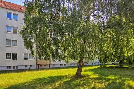 Wohnung zum Mieten in Freiberg 291,00 € 47 m²