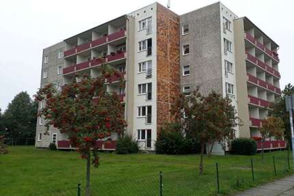 Wohnung zum Mieten in Stralsund 237,36 € 29.67 m²