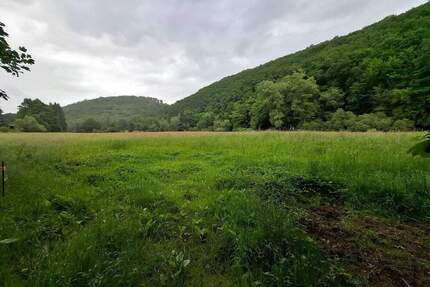 Bauernhaus mit zusätzlichen Bauplätzen und optionaler Pachtweide in ruhiger Dorflage! - Montabaur Eschelbach