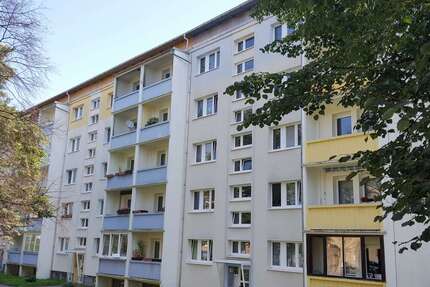 Wohnung zum Mieten in Zittau 348,00 € 62 m²