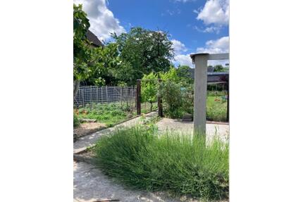 Gemüsegarten in Krefeld Fischeln, Oberbruchstr., ca. 75 qm