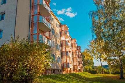 2 Raum Wohnung ***mit Dusche*** - Lunzenau