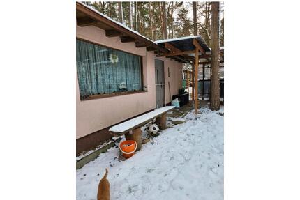 Charmanter Bungalow im Grünen Dübener Heid– Ruhe, Natur & Komfort - Delitzsch