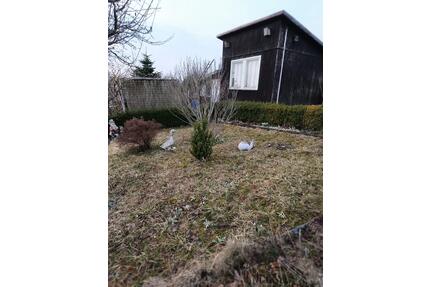 Gepflegter Garten mit schöner Aussicht - Rodewisch