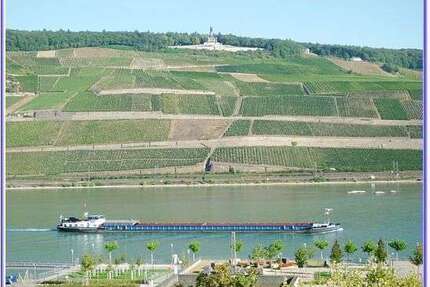 Wohnung zum Kaufen in Bingen 589.000,00 € 140 m²