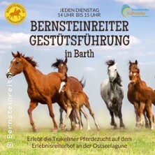 Gestütsführung Barth / Erlebnisreiterhof Bernsteinreiter