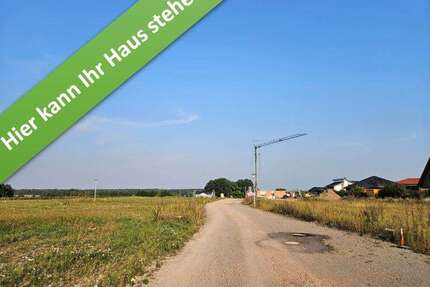 Haus zum Kaufen in Hankensbüttel 350.250,00 € 130 m²