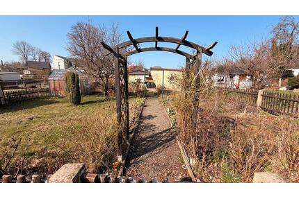 Charmanter Pachtgarten mit Gewächshaus &‘ fester Gartenlaube - Limbach-Oberfrohna