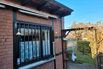 Gepflegter Kleingarten Schrebergarten im KGV Salzdahlum abzugeben - Wolfenbüttel