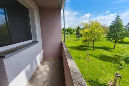 Zweiraumwohnung frisch renoviert mit Blick ins Grüne! - Sangerhausen