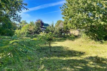 Ihr Rückzugsort im Grünen - Erholungsgrundstück in Märkisch-Oderland mit Bebauungsmöglichkeit - Heckelberg-Brunow