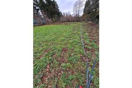 Landwirtschafts- Gartengrundstück direkt in Pirmasens zur Pacht!