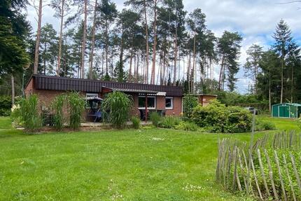 Ferienhaus mit Erstwohnsitz auf großem Grundstück - Winsen (Aller)