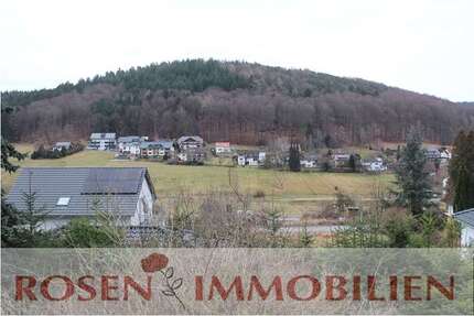 Wohnung zum Mieten in Grasellenbach 450,00 € 50 m²