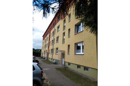 Schöne große Zweiraumwohnung in 17237 Blankensee, Schulstr. 3 Erdgeschoss