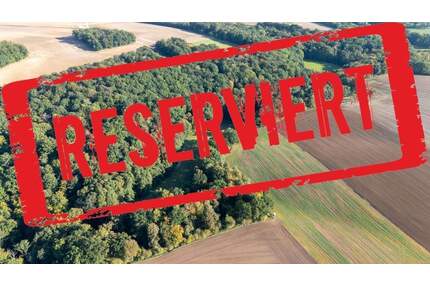 Laubholzflächen in Lindau - 7.000,00&nbsp;EUR Kaufpreis, ca.&nbsp; 0,00&nbsp;m&sup2; in Heideland OT Lindau (PLZ: 07613) Rudelsdorf