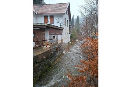 Ein Haus zur Miete in Steinach - 700,00&nbsp;EUR Kaltmiete, ca.&nbsp; 57,00&nbsp;m&sup2; in Steinach (PLZ: 96523)