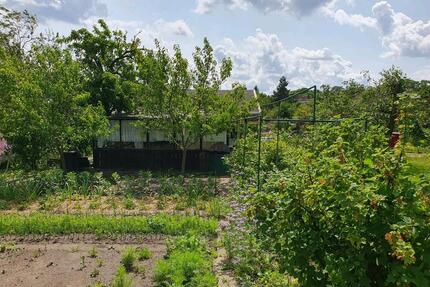 Kleingarten Gosewinkel - 5.000,00&nbsp;EUR Kaltmiete, ca.&nbsp; 0,00&nbsp;m&sup2; in Schwerin (PLZ: 19061) Gartenstadt