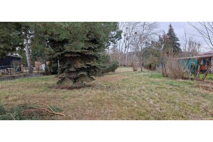 unbebautes Grundstück in Wustermark, OT Priort, An der Haarlake 12 b