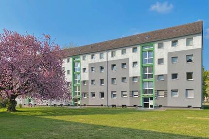 2-Zimmer-Wohnung in Leverkusen Alkenrath