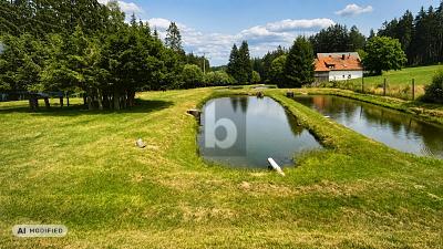SELTENE TEICHANLAGE MIT 5 ERDTEICHEN AUF 38.492 M² - Kulmain