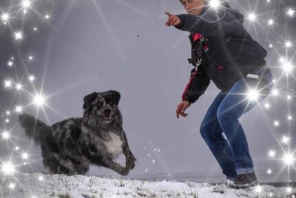 Wohnungsgesuch - 550,00&nbsp;EUR Kaltmiete, ca.&nbsp; 45,00&nbsp;m&sup2; in Kassel (PLZ: 34123) Bettenhausen