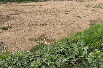 Aussiedlerhof Freifläche zu vermieten 1.000m² bis 3.000m² - Neustadt an der Weinstraße