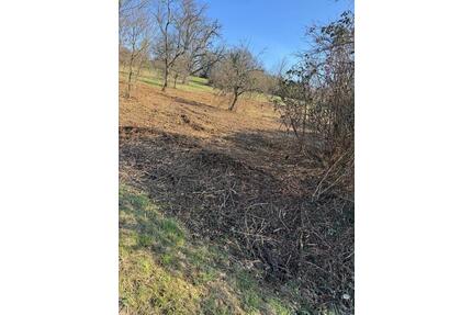 Steuobstwiese ca. 1000 qm Und Waldgrundstück ca. 450 qm - Maintal