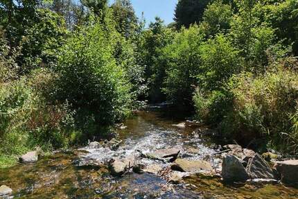 Campingplatz, Zimmervermietung und Gastronomie - gepflegte Familienexistenz in der Eifel - Gerolstein Müllenborn