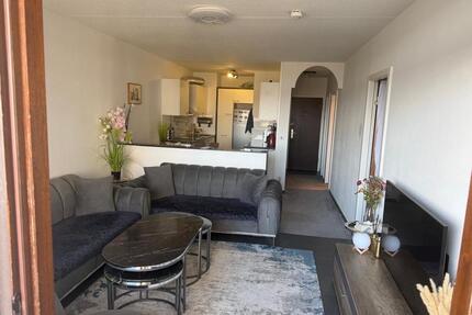 Wohnung zu vermieten - 1.100,00&nbsp;EUR Kaltmiete, ca.&nbsp; 46,00&nbsp;m&sup2; in Frankfurt am Main (PLZ: 60594) Sachsenhausen