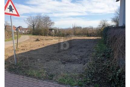 KAISERSTÜHLER IDYLLE TRIFFT FREIBURGER STADTNÄHE - Ihringen