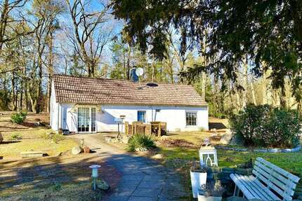 Haus zum Kaufen in Lotte 275.000,00 € 76 m²