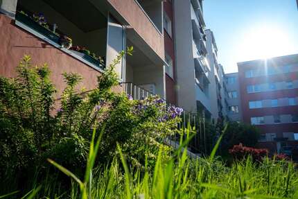 Wohnung zum Mieten in Halle (Saale) 330,00 € 57.31 m²