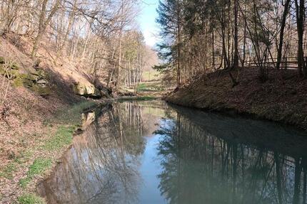 Wochenendgrundstück mit Fischweiher - Hochspeyer