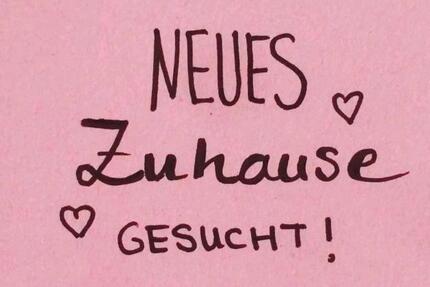 3-4 Zimmer Wohnung - 1.400,00&nbsp;EUR Kaltmiete, ca.&nbsp; 60,00&nbsp;m&sup2; in Mölln (PLZ: 23879)