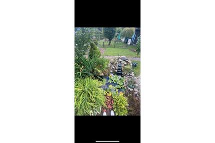 Kleingarten in Wriezen- mit Fischteich - Berlin Mitte