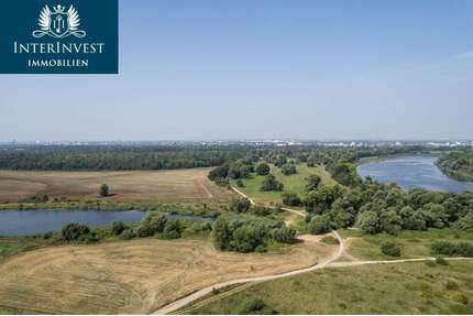 Grundstück zu verkaufen in Biederitz 149.000,00 € 1572 m²