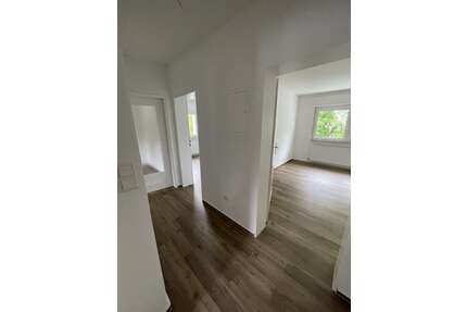Wohnung zum Mieten in Rüthen 319,00 € 51 m²
