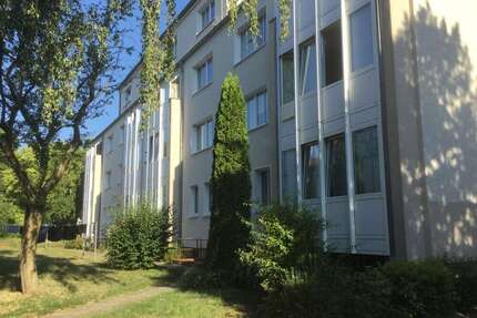 Wohnung zum Mieten in Schwerin 446,00 € 69.6 m²