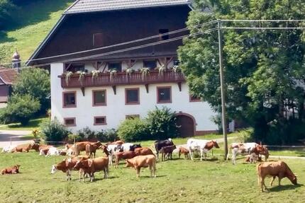 Ferienwohnung Kandelblick - 85,00&nbsp;EUR Kaltmiete, in St. Peter (PLZ: 79271)
