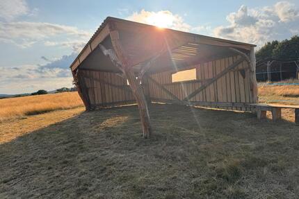 Offenstall zu vermieten - 300,00&nbsp;EUR Kaltmiete, ca.&nbsp; 0,00&nbsp;m&sup2; in Usingen (PLZ: 61250)