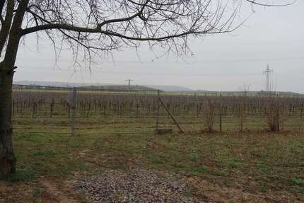 Haus zum Kaufen in Gensingen 250.000,00 € 75 m²