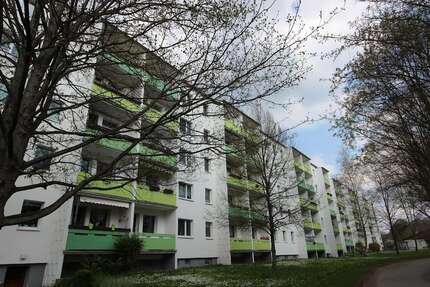 Wohnung zum Mieten in Gera 230,00 € 36.98 m²