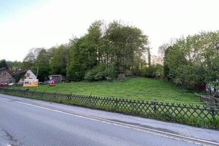 Grundstücke Grünflächen Wiesen, ggfs. mit Entwicklungspotential, in Balve zu verkaufen