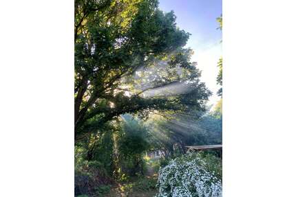 Grundstück zu verkaufen in Wiesbaden 58.000,00 € 1589 m²